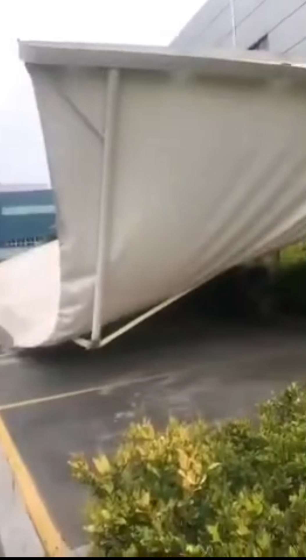 1589358465460705.jpg 1589358465460705.jpg