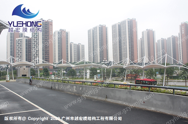 1601712119849254.jpg 1 (6).jpg