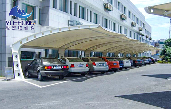 1604995953483360.jpg 1 (2).jpg